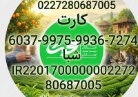 مصوبه هیأت مدیره برای کمک به ۶۵ نفر از مهرجویان املشی